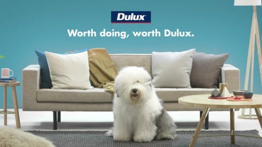 Dulux Colour View
